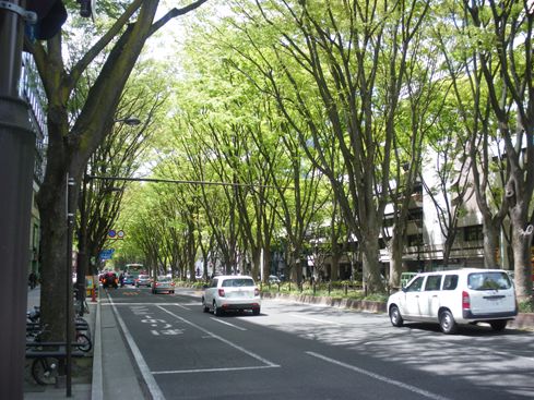 IMGP5092_R.JPG