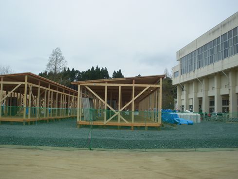 IMGP5244_R.JPG