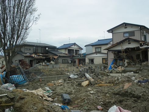 IMGP5339_R.JPG