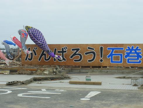 IMGP5356_R.JPG